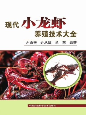 现代小龙虾养殖技术大