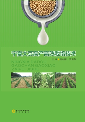 宁夏大豆高产高效栽培
