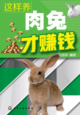 这样养肉兔才赚钱