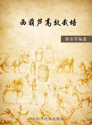 西葫芦高效栽培