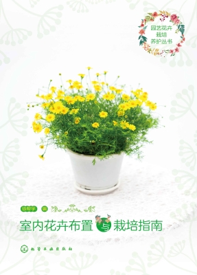 室内花卉布置与栽培指