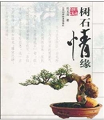 树石情缘