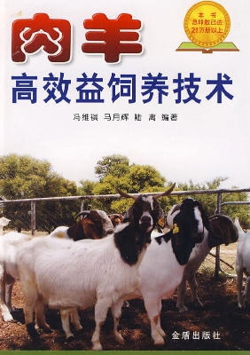 肉羊高效益饲养技术