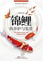 锦鲤的养护与鉴赏