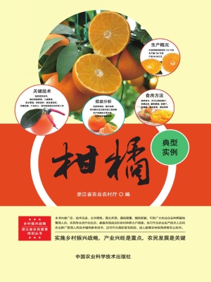 柑橘