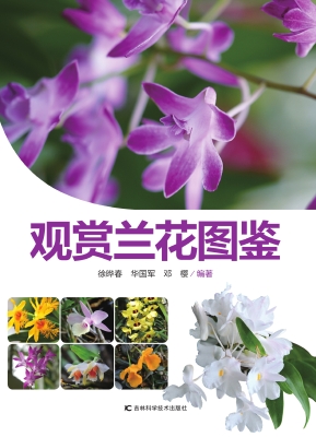 观赏兰花图鉴
