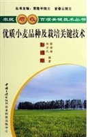 优质小麦品种及栽培关