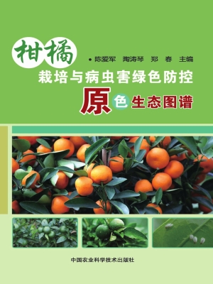 柑橘栽培与病虫害绿色