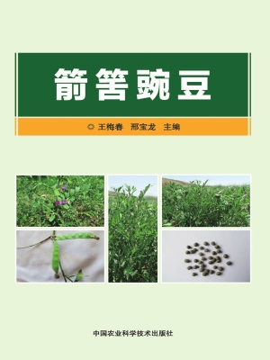 箭筈豌豆