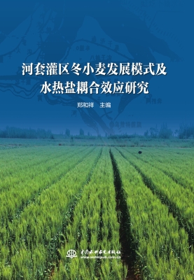 河套灌区冬小麦发展模