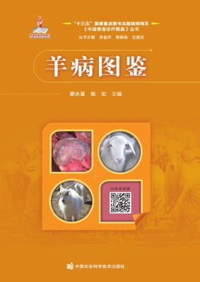羊病图鉴
