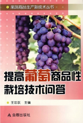 提高葡萄商品性栽培技