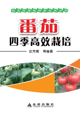 番茄四季高效栽培