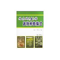 林农间 (套) 作高效种