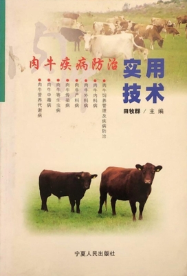 肉牛疾病防治实用技术