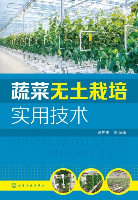 蔬菜无土栽培实用技术