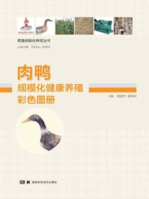 肉鸭规模化健康养殖彩