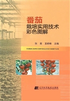 番茄栽培实用技术彩色