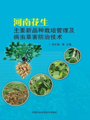 河南花生主要新品种栽