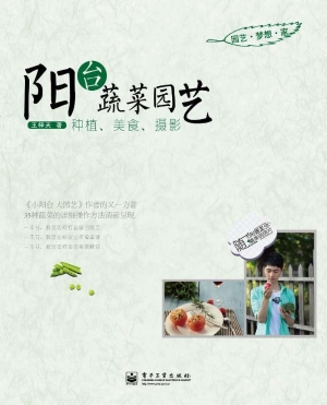 阳台蔬菜园艺（种植、美