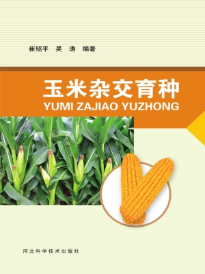 玉米杂交育种