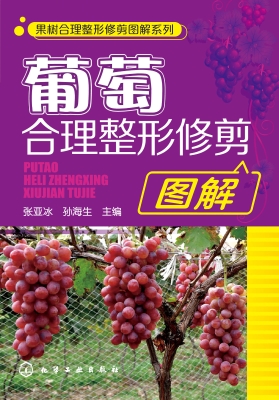 葡萄合理整形修剪图解