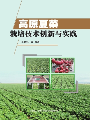 高原夏菜栽培技术创新