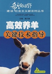高效养羊关键技术指导