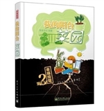 我的阳台菜园