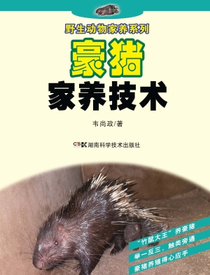 豪猪家养技术