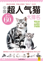 中国超人气猫大排名