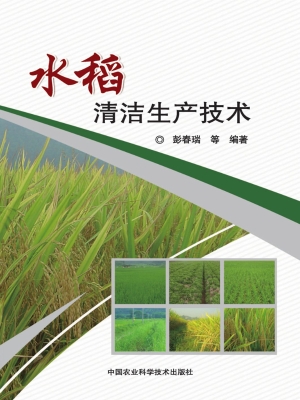 水稻清洁生产技术