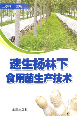 速生杨林下食用菌生产