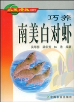 巧养南美白对虾