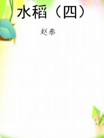 水稻（四）