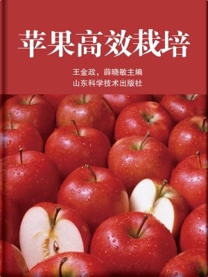 苹果高效栽培