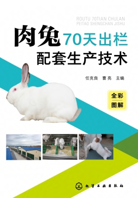 肉兔70天出栏配套生产