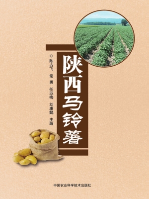 陕西马铃薯