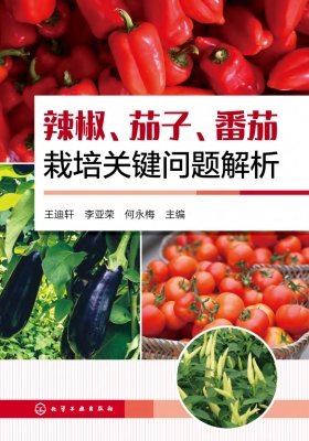 辣椒、茄子、番茄栽培
