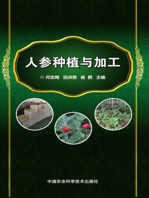 人参种植与加工