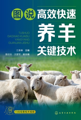 图说高效快速养羊关键