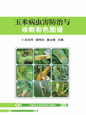玉米病虫害防治与诊断