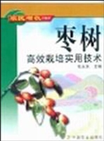枣树高效栽培实用技术
