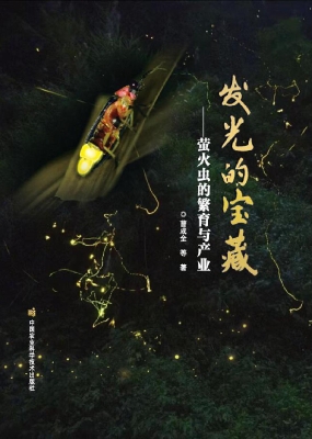 发光的宝藏——萤火虫