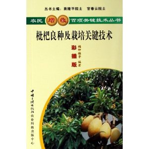 枇杷良种及栽培关键技