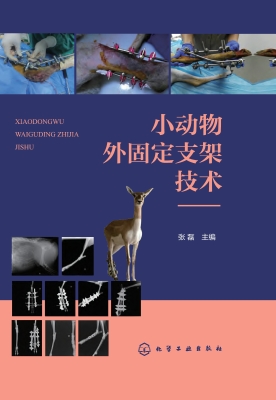 小动物外固定支架技术