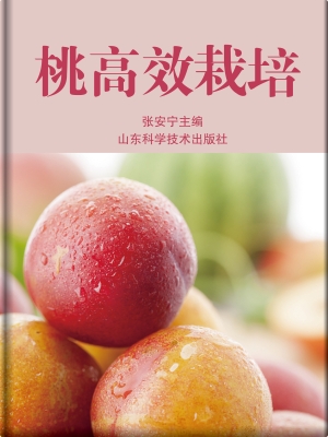 桃高效栽培
