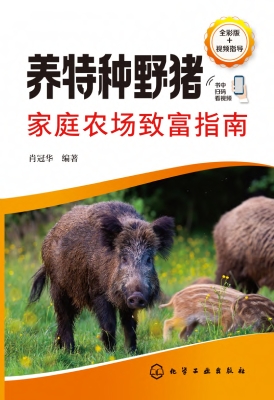 养特种野猪家庭农场致
