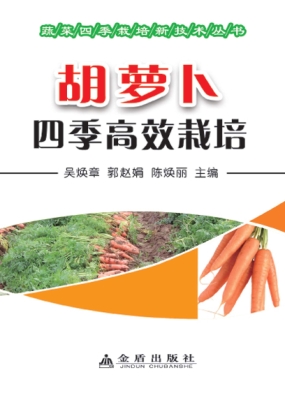 胡萝卜四季高效栽培