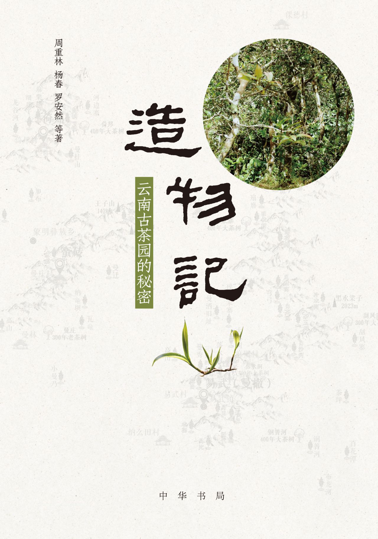 造物记：云南古茶园的秘